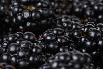 freshly picked organic blackberries