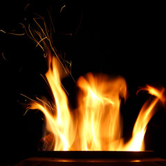 Fototapeta premium Flamme