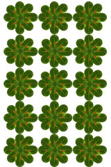 Pattern of leave