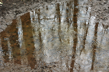 Ripples from rain puddles .