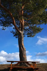 скамейка © mifidor