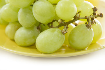 green grape consumed on yellow plate on white screen