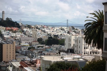 San Francisco in California USA