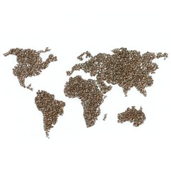 World map made of coffee beans. isolated on white background.
