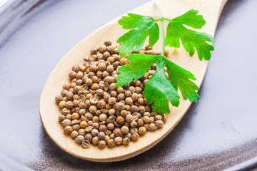Coriander seeds on wooden spoon