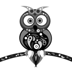 owl black