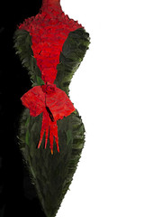 The woman's silhouette from petals of red roses and green leaves