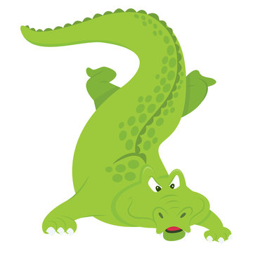 Cartoon Crocodile Evil Looking Front Facing