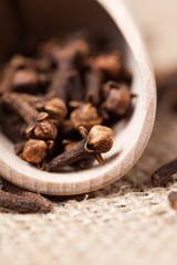 Brown dry clove aromatic spice scattered in wooden shovel on tex