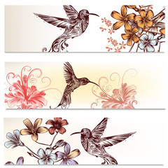 Brochures set with hummingbirds and  flowers