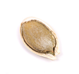 Single pumpkin seed