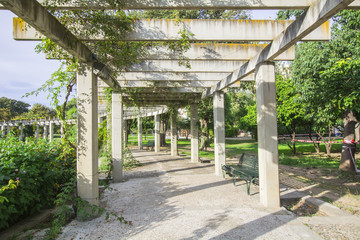 Large pergola with hanging creepers in a park
