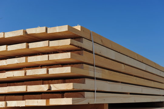 Holz