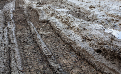 Wheel tracks on the muddy dirt road