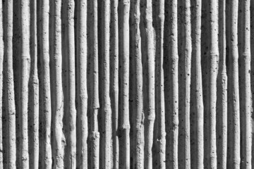 fond béton brut texture bambou