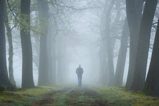 Fototapeta Man walking in a mysterious lane on a foggy and dark morning.