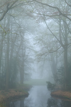 Pond in a landscape park on a foggy, spring day.