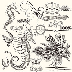 Collection of vector hand drawn sea elements