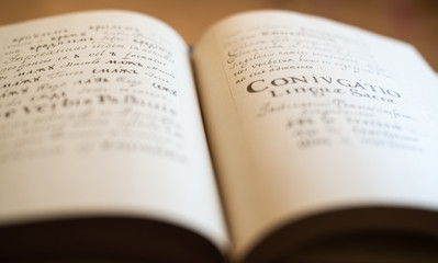 The Old Slavonic Grammar