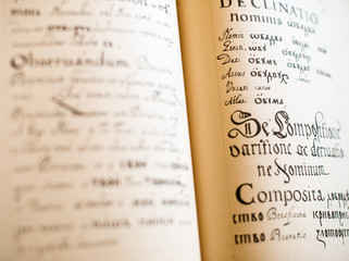 The Old Slavonic Grammar