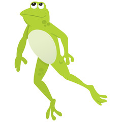 Cartoon Frog Looking Up