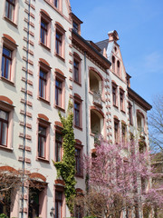 Immobilie im Frühjahr