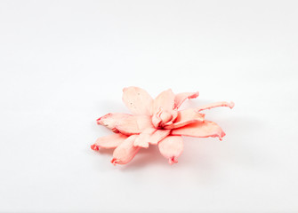 dry pink flower decoration on white background