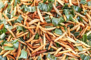 fried silk worms in the market