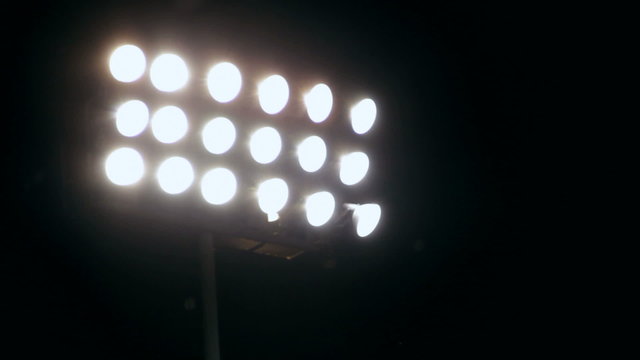 Stadium lights shinning with pollen flying in the foreground.