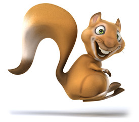 Fun squirrel
