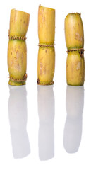 Cut sugarcane stalks over white background