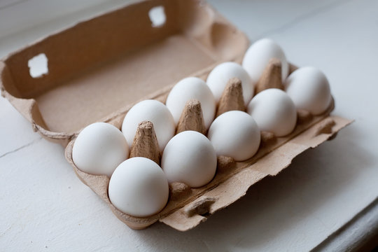 Paper Egg Tray on white background