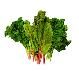 Dark green healthy Vegetables, Kale and Swiss Chard