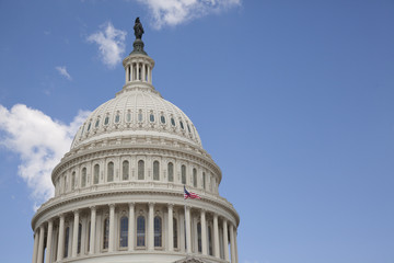 U.S. Capitol in Washington D.C.