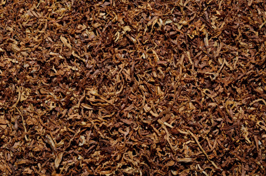 Tobacco Texture Background