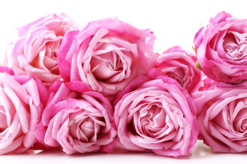 Fototapeta premium Bouquet of beautiful fresh roses, closeup