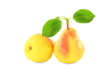pear fruit with leaves in pure whit background