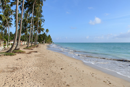 Beach In Maragogi, Alagoas - Brazil