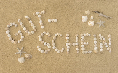 Fototapeta na wymiar Wort GUTSCHEIN aus Schneckenhäuschen im Sand