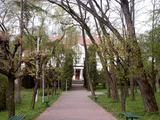 aleja © wedrownik52