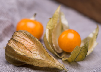 physalis