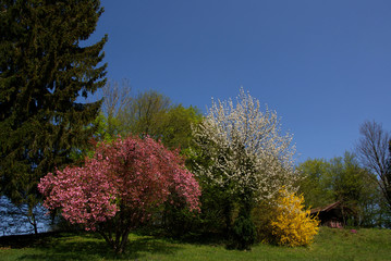 bunter Frühling
