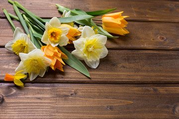 Background with fresh tulips and narcissus