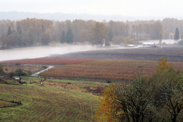 Flooded Farm Land