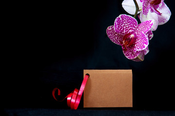 Wellnes card and pink orchid.