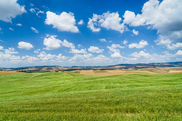 Fototapeta na wymiar Scenic Tuscany landscape with rolling hills in Val d'Orcia