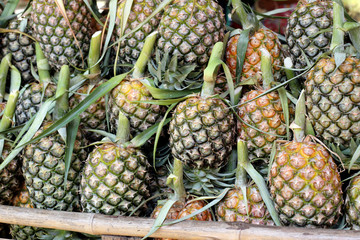 Pile of pineapple in fruit market.