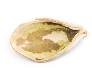 Obraz premium Single pumpkin seed peeled.