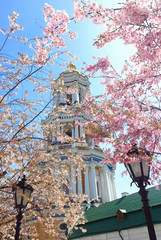 kiev cathedral and sakuras blooing in spring