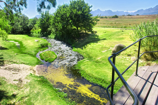 Green lawn next to mountain river